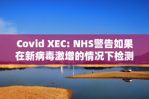 Covid XEC: NHS警告如果在新病毒激增的情况下检测呈阳性该怎么办