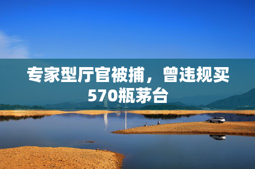 专家型厅官被捕，曾违规买570瓶茅台